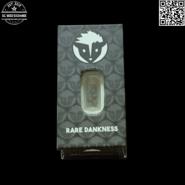 Rare Dankness Moonshine's Ghost Train (Moonshine Haze x Ghost Train Haze #1) 5 Feminized Seeds - Image 3