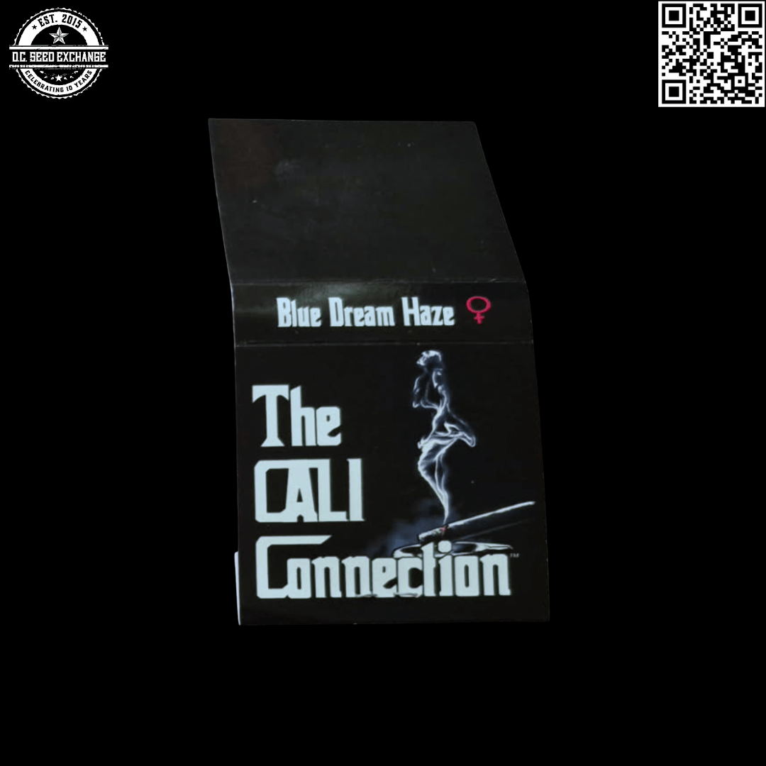 The Cali Connection Blue Dream Haze (Blue Dream Haze x SFV OG IBL) 6 Feminized Seeds - Image 3