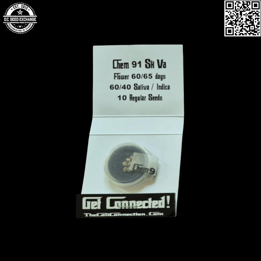 The Cali Connection Chem 91 SK VA (Chem 91 Skunk Va x Chem 91 BX1) 10 Regular Seeds