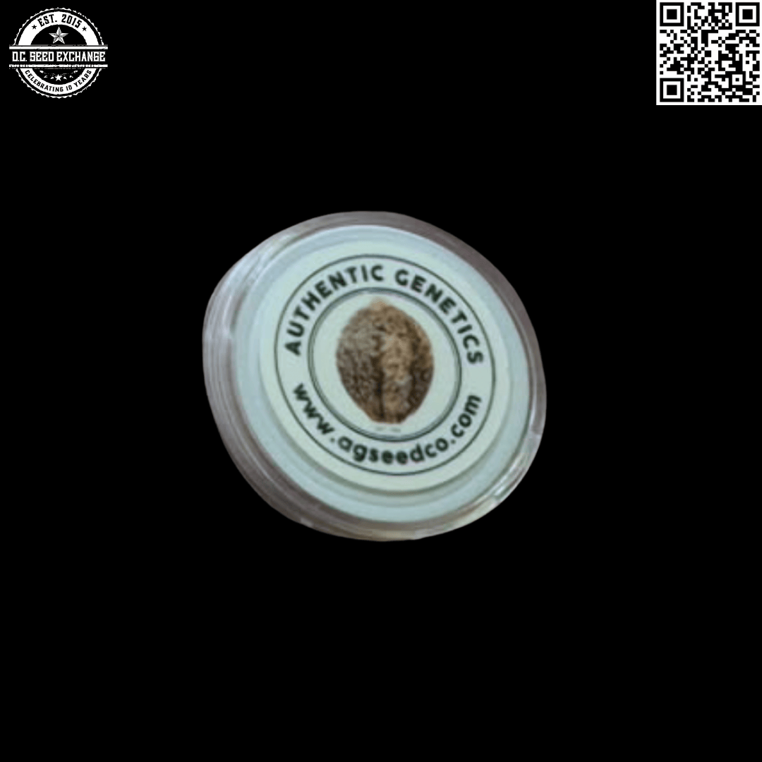 Todd McCormick’s Authentic Genetics Skunk #1 IBL 10 Regular Seeds - Image 2