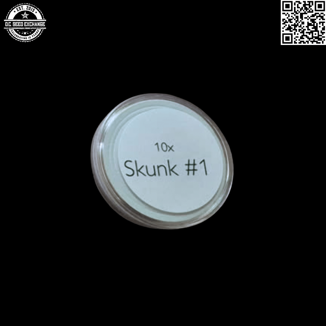 Todd McCormick’s Authentic Genetics Skunk #1 IBL 10 Regular Seeds