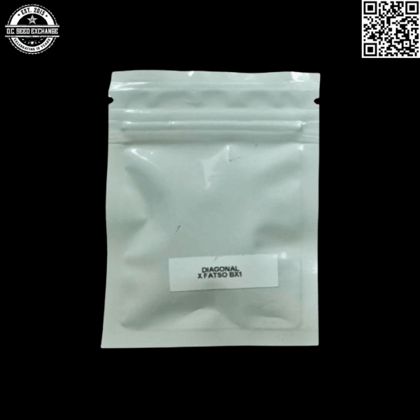 Altitude Ranch Diagonal x Fatso Bx1 13 Regular Seeds - Image 2