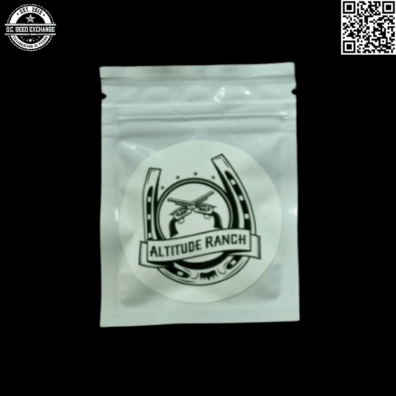 Altitude Ranch Diagonal x Fatso Bx1 Front IG