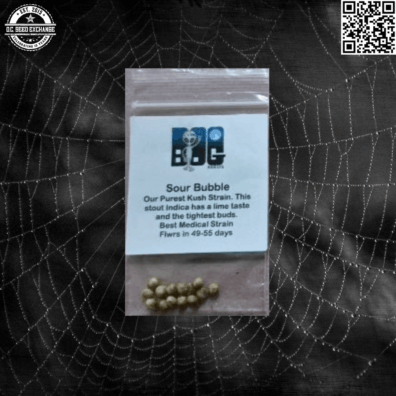 BOG Seeds Sour Bubble Front IG