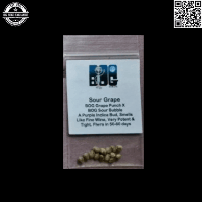 BOG Seeds Sour Grape Front IG