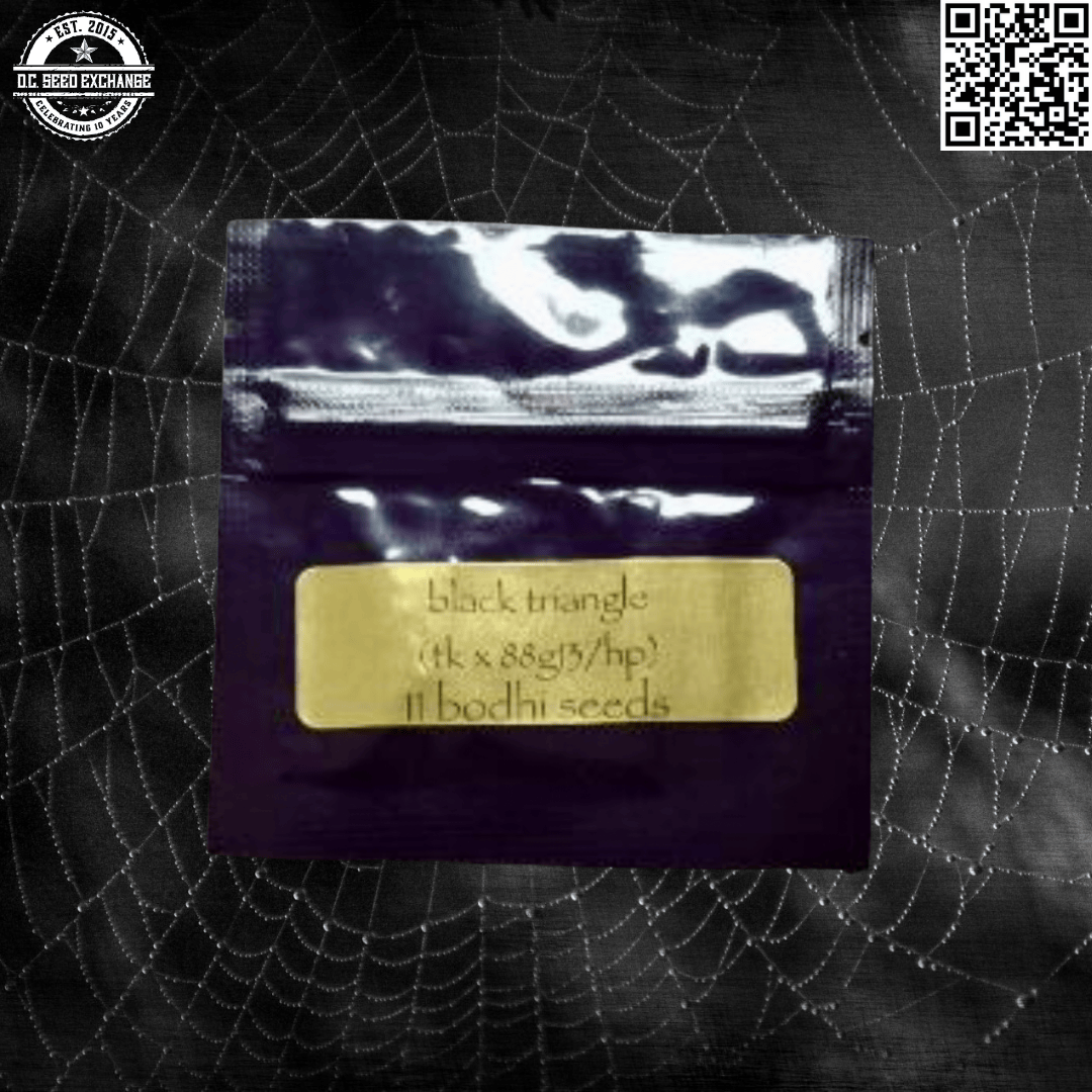 Bodhi Seeds Black Triangle (Triangle Kush x 88g13/hp) 11 Regular Seeds