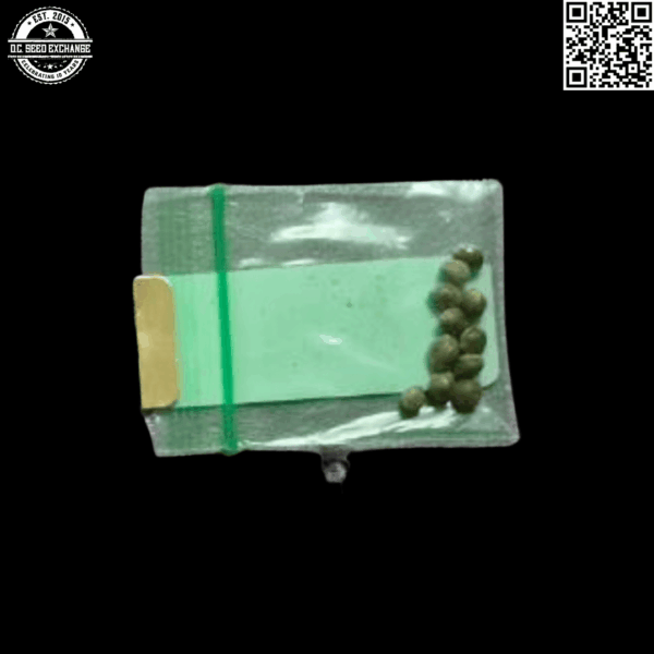 Bodhi Seeds Vintage Hawaiian (HI) Indica x Wookie 11 Regular Seeds - Image 2