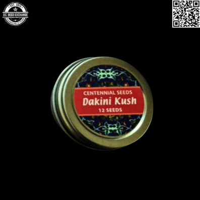 Centennial Seeds Dakini Kush F1 (Pre98 Bubba Kush x Hindu Kush) 12 Regular Seeds