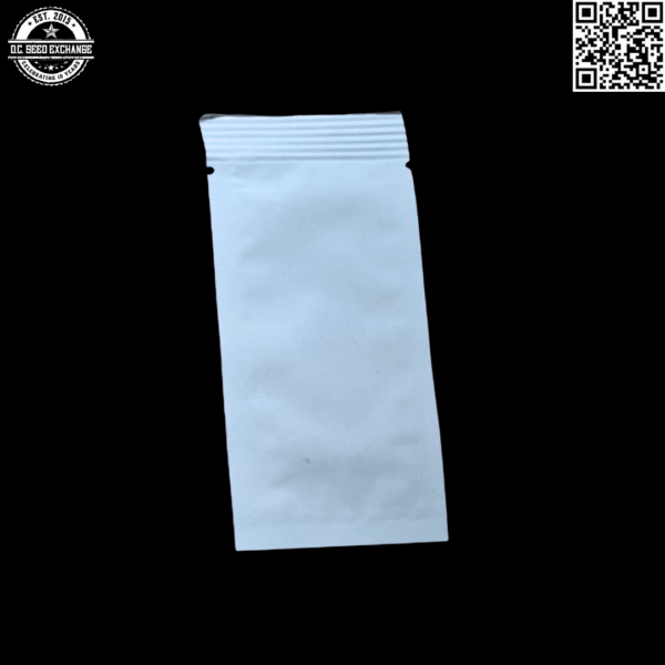 Dynasty Genetics Honey Badger Haze (Ice Queen aka C99/Williams Wonder x Ms. Universe #10) 5 Regular Seeds - Image 3