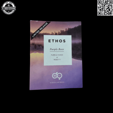 Ethos Genetics Purple Roze F1 (Purple Punch x Roze) 10 Regular Seeds