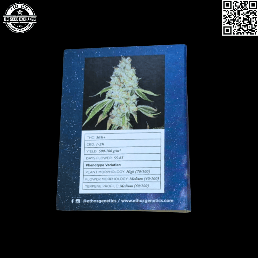 Ethos Genetics Temple of the Dawg F-1 Bx (Black Dog OG x Temple Kush) 15 Regular Seeds - Image 2