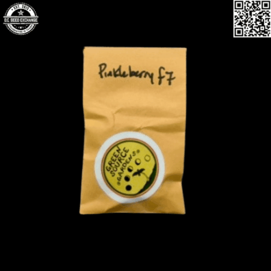 Green Source Gardens Pinkleberry F7 Front IG
