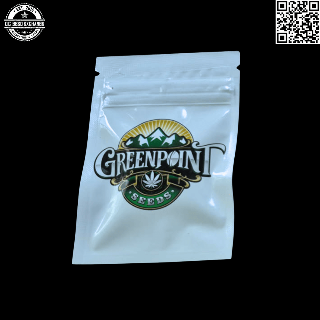 Greenpoint Seeds Pebble Punch F1 (Fruity Pebbles OG x Purple Punch) 10 Regular Seeds - Image 3