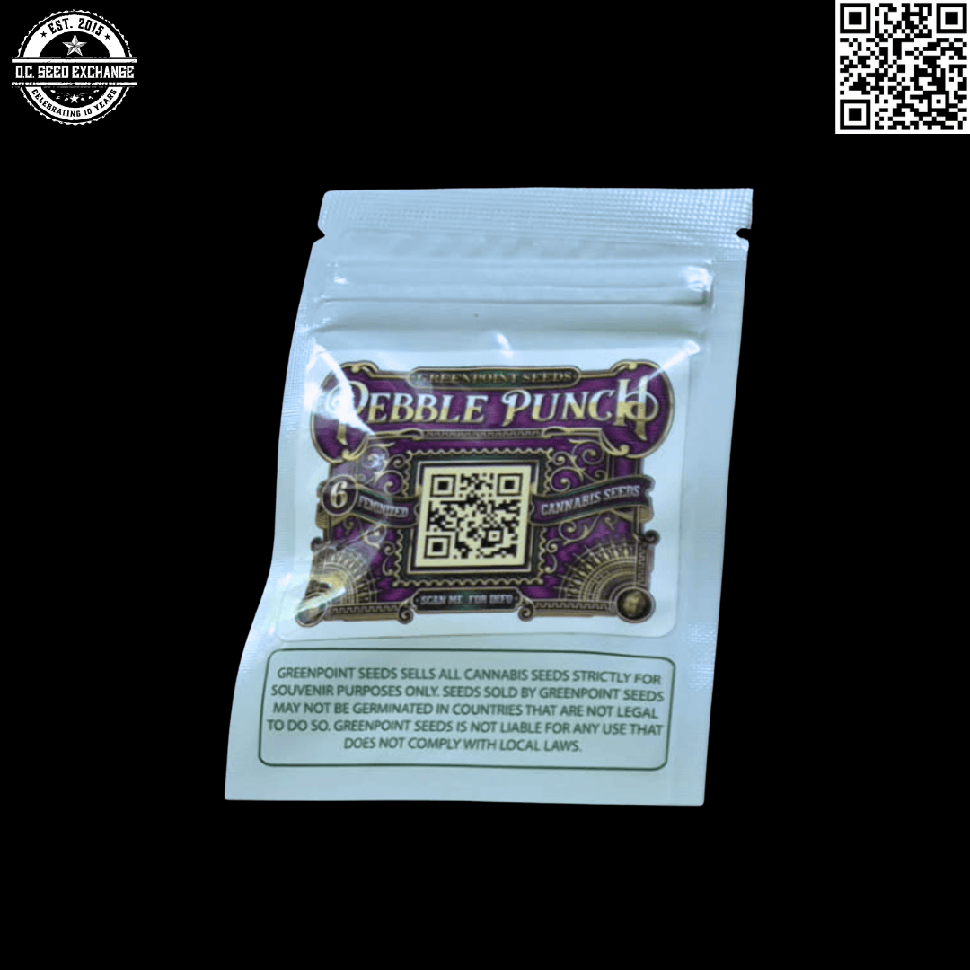 Greenpoint Seeds Pebble Punch F1 (Fruity Pebbles OG x Purple Punch) 10 Regular Seeds