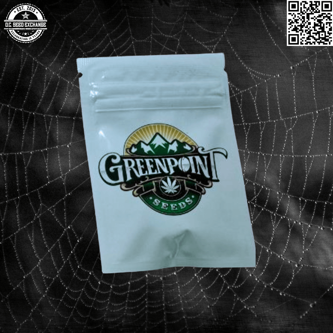 Greenpoint Seeds Purple Aliens (Alien OG x Purple Punch) 6 Feminized Seeds - Image 3