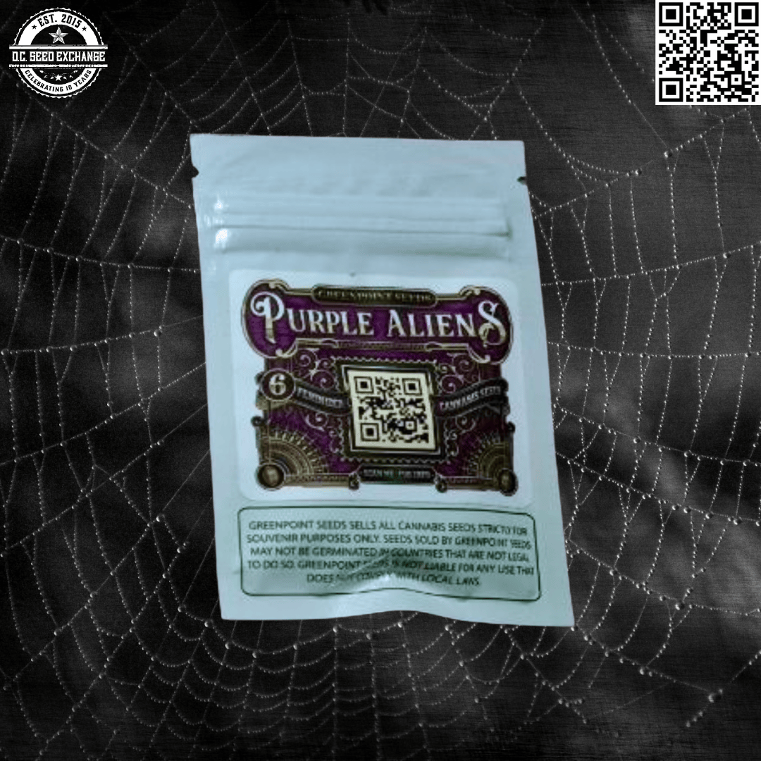 Greenpoint Seeds Purple Aliens (Alien OG x Purple Punch) 6 Feminized Seeds