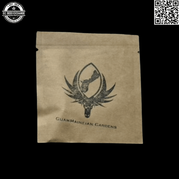 GuamMaineian Gardens SR71 F4 6 Feminized Seeds - Image 2
