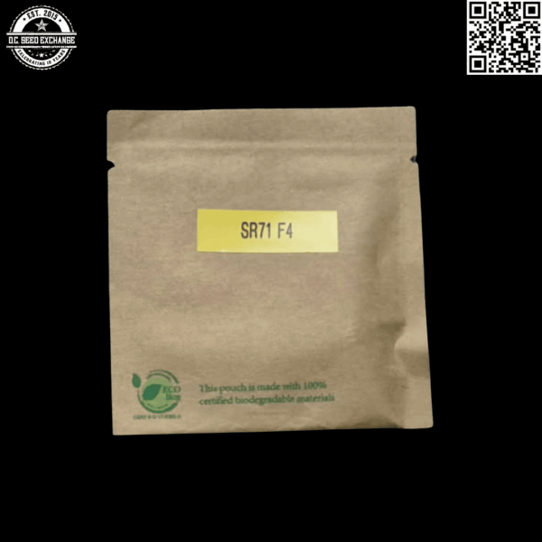 GuamMaineian Gardens SR71 F4 6 Feminized Seeds