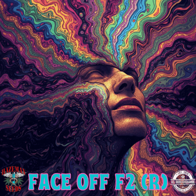 HAZEMAN SEEDS Face Off F2 v2