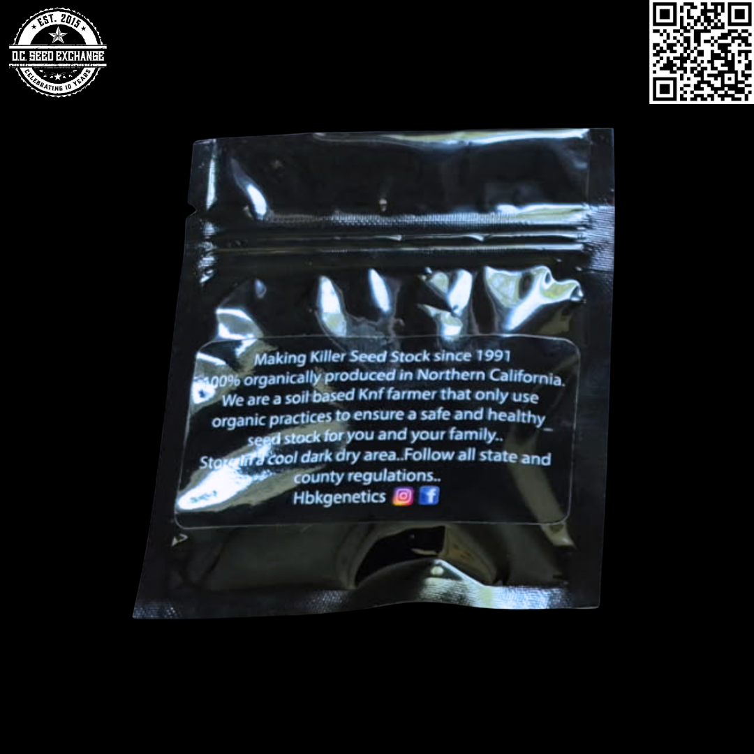 Half Baked Kids Genetics Chile Verde (OG Kush x Key Lime Pie/Lavender) 10 Regular Seeds - Image 2