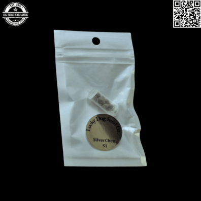 SkunkVA's Lucky Dog Seed Co Silver Chem S1 (Silverback OG x Chemdog 91 Reversal) 10 Feminized Seeds