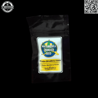Matanuska Thunder Seeds Alaskan Blackberry F3 #24 (Obama Kush x [Blackberry x Goji OG]) 10 Regular Seeds