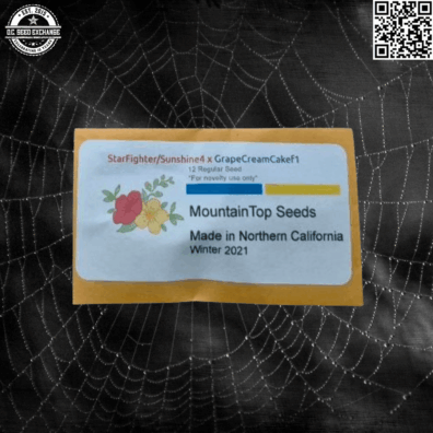 Mountain Top Seeds Star FighterSunshine 4 x Grape Cream Cake Front IG