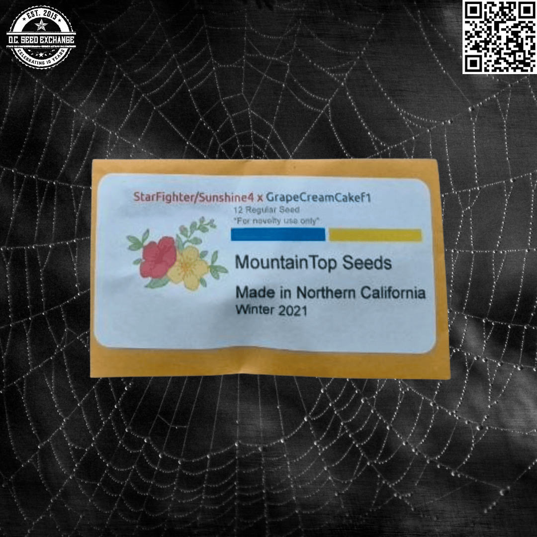 Mountain Top Seeds Starfighter/Sunshine 4 x Grape Cream Cake 10 Regular Seeds