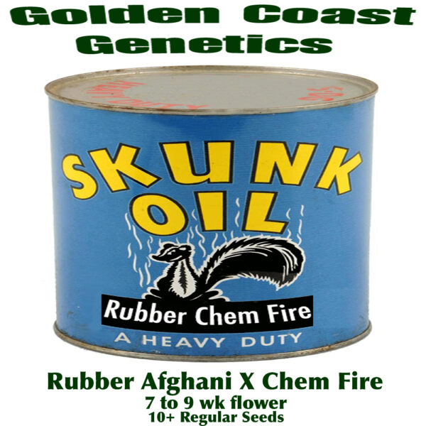 Skunk Oil F1 (Rubber Afghani x Chem Fire) 10 Regular Seeds