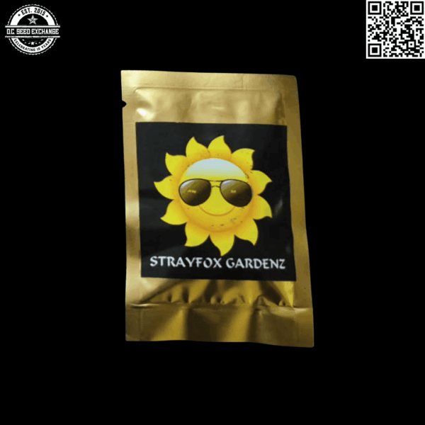 Strayfox Gardenz Miles Davis (Black Afghani x Starfighter F1) 10 Regular Seeds - Image 2