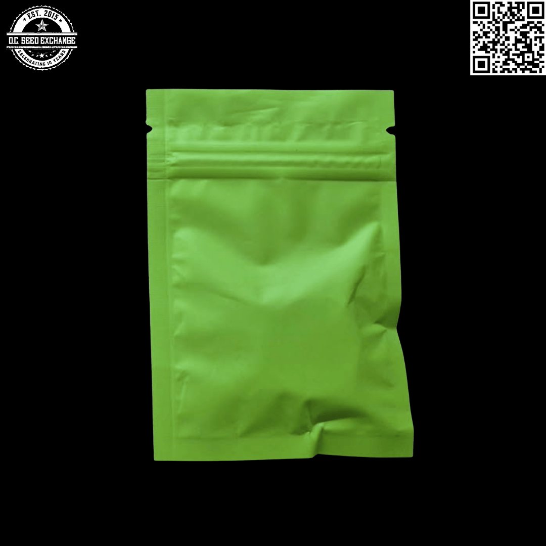 Strayfox Gardenz Wonderland F1 (Williams Wonder 89 SSSC x Sleeping Iraqi) 10 Regular Seeds - Image 2