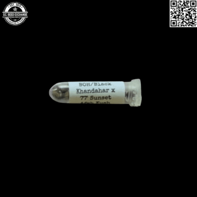 Swami Organic Seeds Blue Orca Haze/Black Khandahar x 77 Sunset A-Dub Kush 12 Regular Seeds
