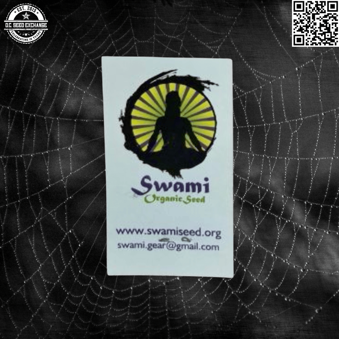 Swami Organic Seeds Nigerian Sunshine 12 Regular Seeds - Image 3