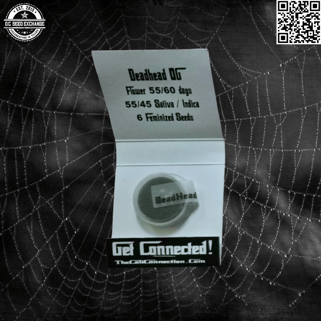 The Cali Connection Deadhead OG (Chem 91 x Tahoe OG Kush) 6 Feminized Seeds