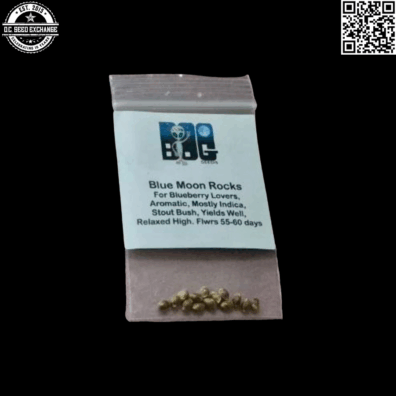 BOG Seeds Blue Moon Rocks (Blue Moon x BOG Bubble) 13 Regular Seeds