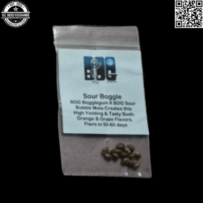 BOG Seeds Sour Boggle Front IG