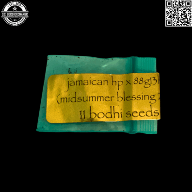 Bodhi Seeds Jamaican HP x 88g13hp Mid Summer Blessing Front IG v2