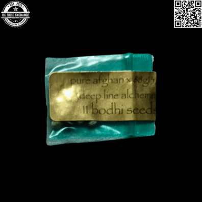 Bodhi Seeds Pure Afghan x 88g13hp Front IG
