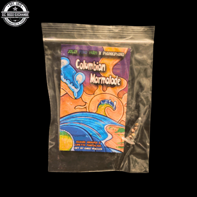 Colombian Marmalade (Square Grouper x Limetta Marmalade) 3 Feminized Seeds