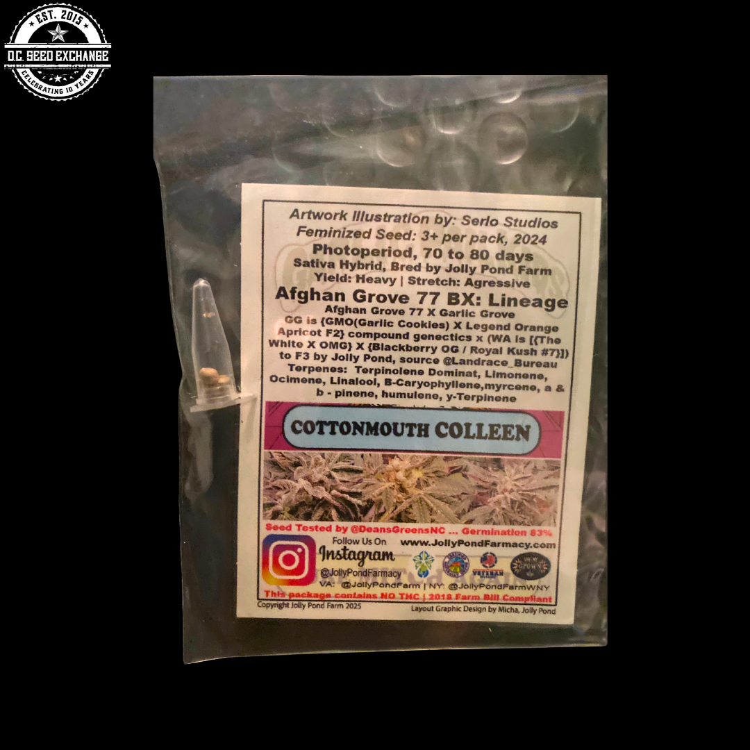 Cottonmouth Colleen (Afghan Grove 77 x Garlic Grove) 3 Feminized Seeds - Image 2