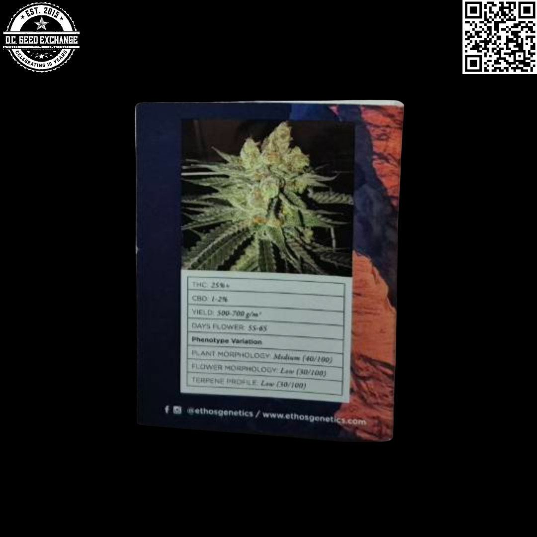 Ethos Seeds Citral Flo Bx1 (Citral Flo #10 x Temple Kush F2) 15 Regular Seeds - Image 4