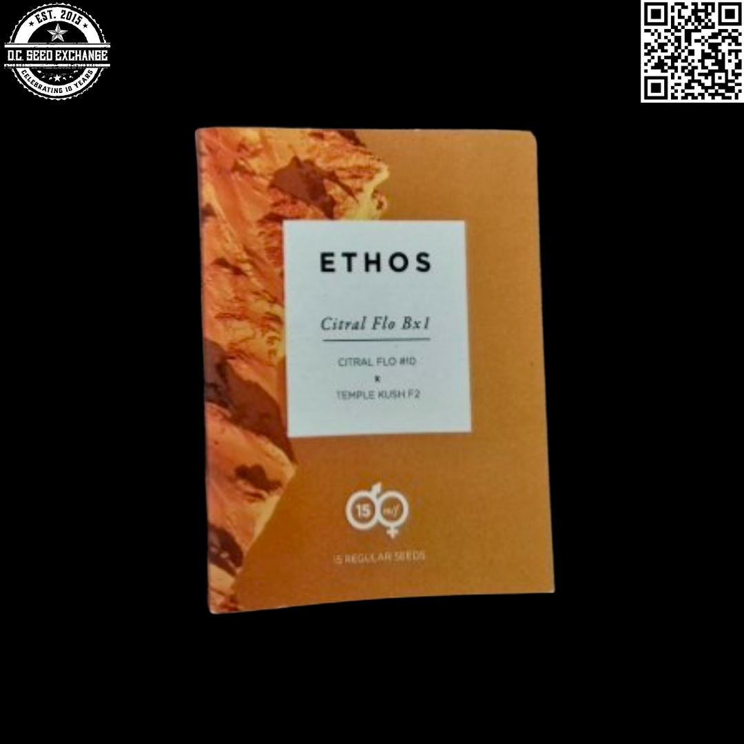 Ethos Seeds Citral Flo Bx1 (Citral Flo #10 x Temple Kush F2) 15 Regular Seeds