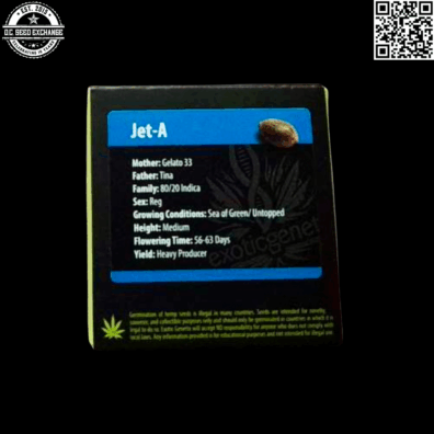 Exotic Genetix Jet-A (Gelato 33 x Tina) 10 Regular Seeds