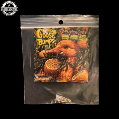 Goose Bumps (Trainwreck x Limetta Marmalade) 3 Feminized Seeds