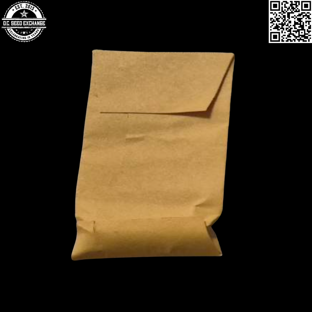 Green Source Gardens Pinkleberry Wonder F2 10 Regular Seeds - Image 2