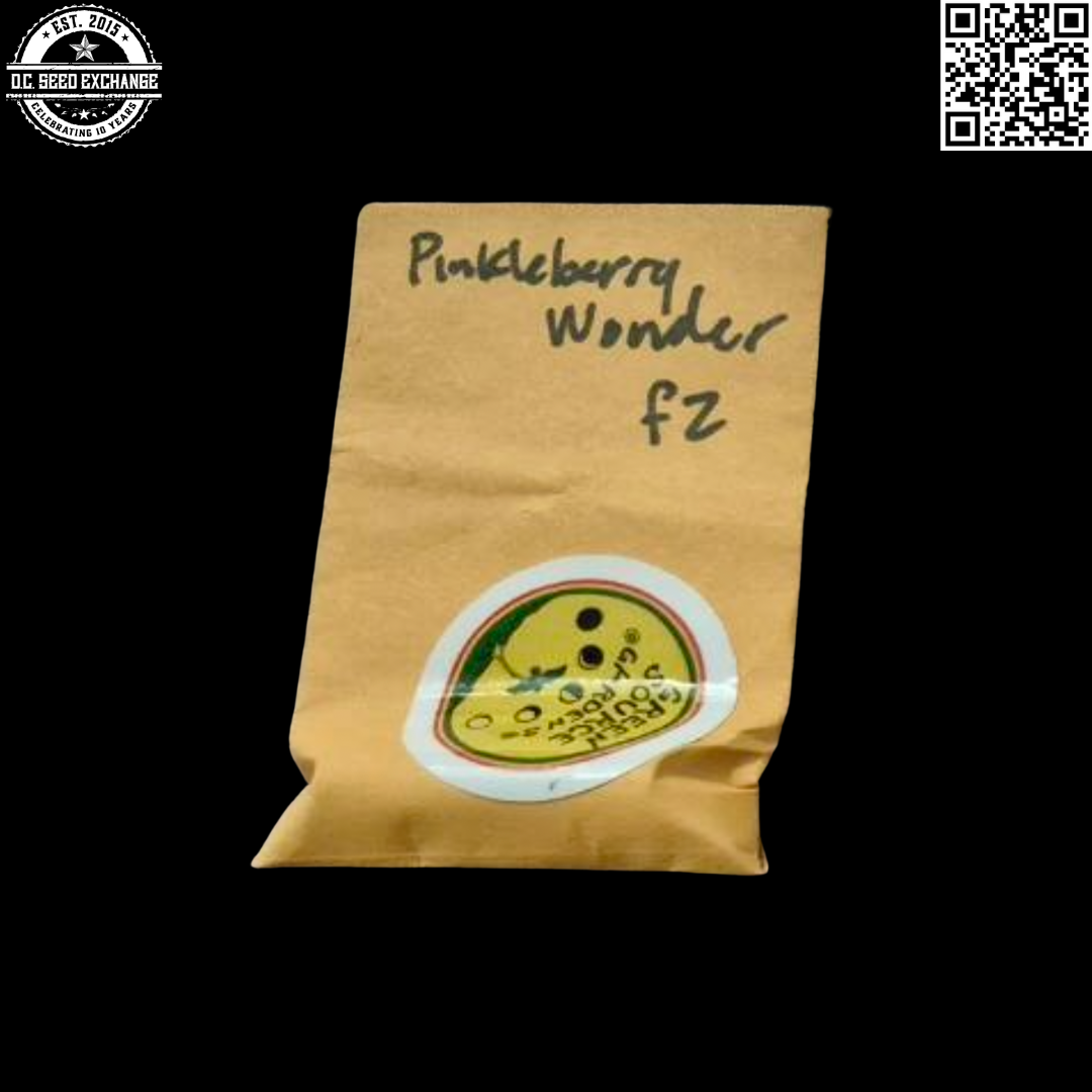 Green Source Gardens Pinkleberry Wonder F2 10 Regular Seeds