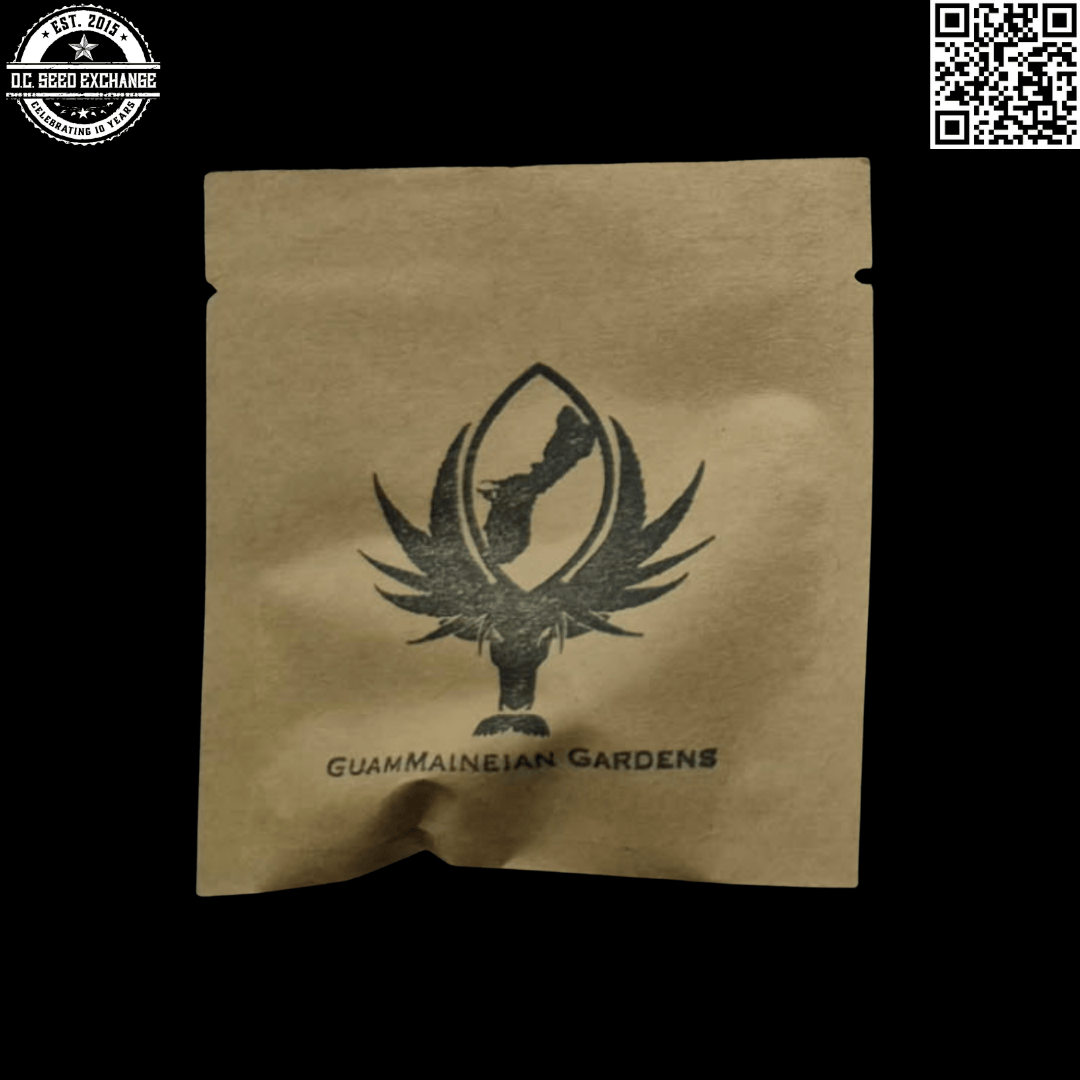 GuamMaineian Gardens SR-71 Purple Kush BX F5 12 Regular Seeds - Image 5