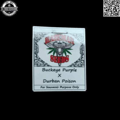 Hazeman Seeds Buckeye Purple x Durban Poison Front IG