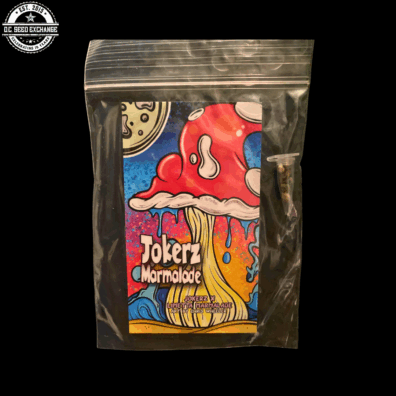 Jokerz Marmalade (Jokerz x Limetta Marmalade) 3 Feminized Seeds