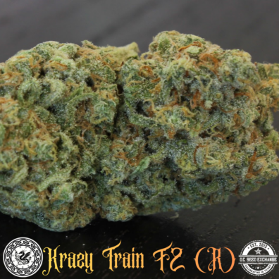 Krazy Train F2 IG